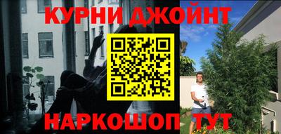 стаф Гусев