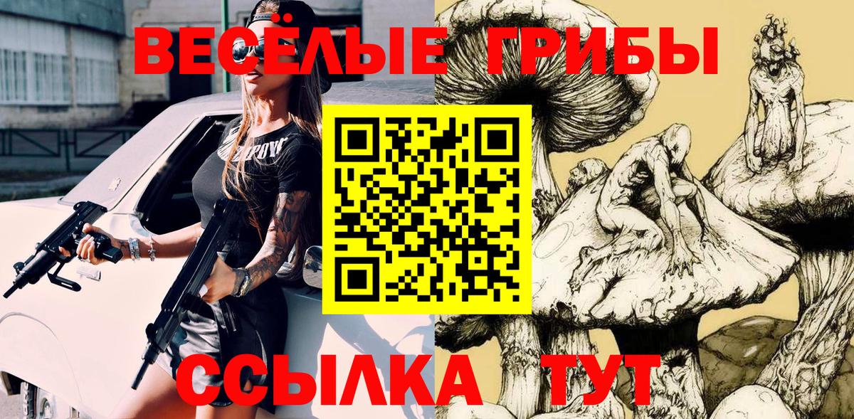 купить   Псилоцибиновые грибы Psilocybine cubensis  Вход с VPN  Новоалтайск 